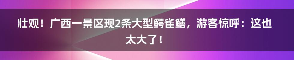 壮观！广西一景区现2条大型鳄雀鳝，游客惊呼：这也太大了！