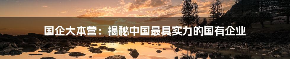 国企大本营：揭秘中国最具实力的国有企业