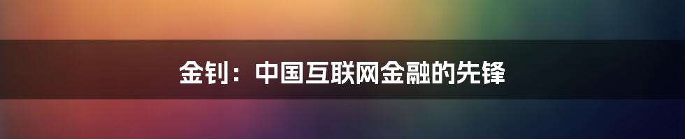 金钊：中国互联网金融的先锋