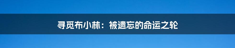 寻觅布小林：被遗忘的命运之轮