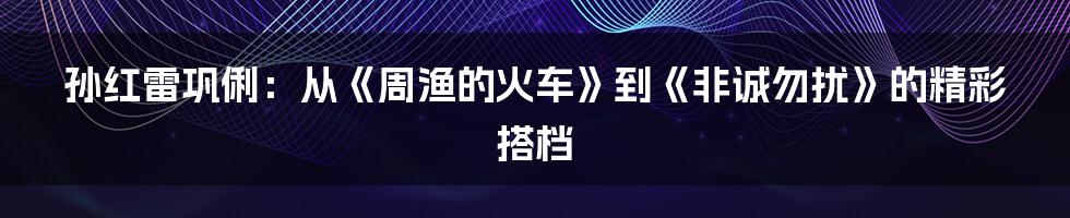 孙红雷巩俐：从《周渔的火车》到《非诚勿扰》的精彩搭档