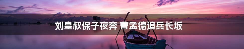 刘皇叔保子夜奔 曹孟德追兵长坂