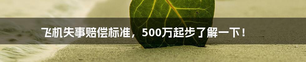 飞机失事赔偿标准，500万起步了解一下！