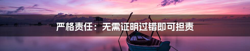 严格责任：无需证明过错即可担责