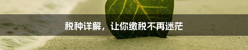 税种详解，让你缴税不再迷茫