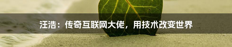 汪浩：传奇互联网大佬，用技术改变世界