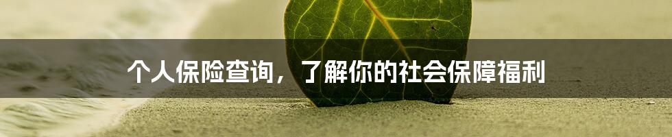 个人保险查询，了解你的社会保障福利