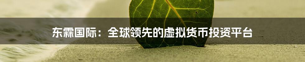 东霖国际：全球领先的虚拟货币投资平台