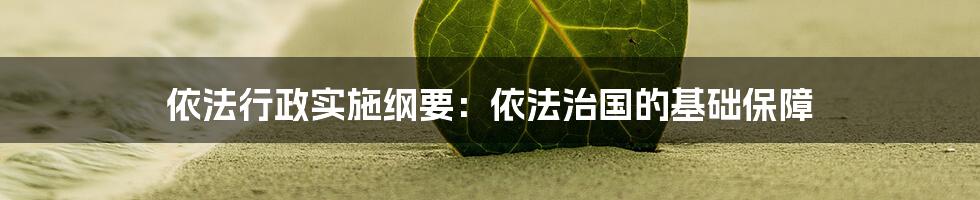 依法行政实施纲要：依法治国的基础保障