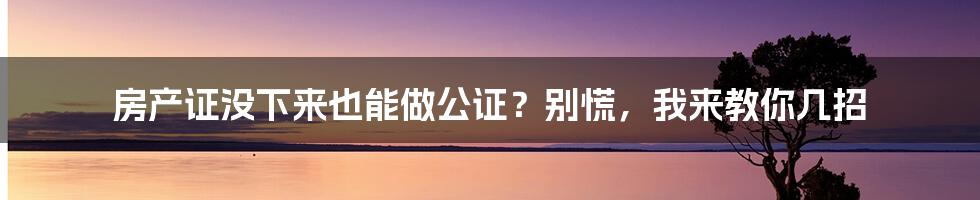 房产证没下来也能做公证？别慌，我来教你几招