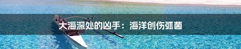 大海深处的凶手：海洋创伤弧菌