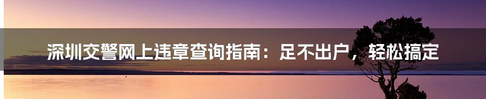 深圳交警网上违章查询指南：足不出户，轻松搞定