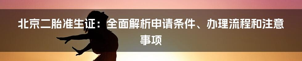 北京二胎准生证：全面解析申请条件、办理流程和注意事项