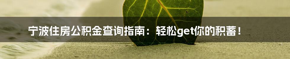 宁波住房公积金查询指南：轻松get你的积蓄！