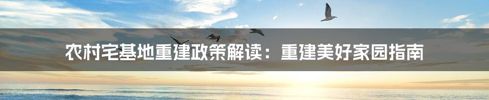 农村宅基地重建政策解读：重建美好家园指南