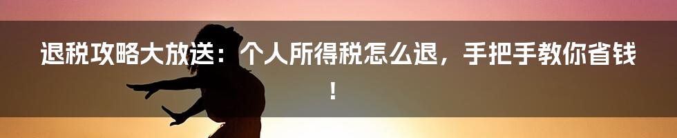 退税攻略大放送：个人所得税怎么退，手把手教你省钱！