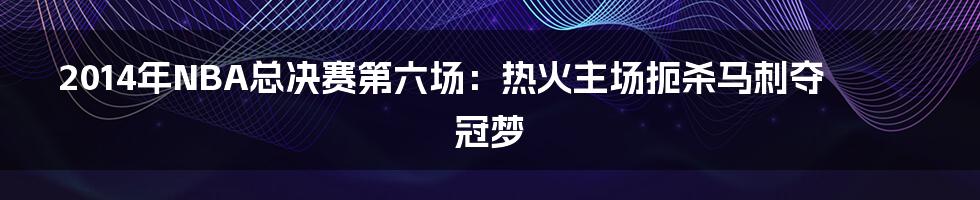 2014年NBA总决赛第六场：热火主场扼杀马刺夺冠梦