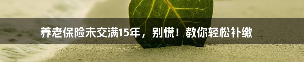 养老保险未交满15年，别慌！教你轻松补缴