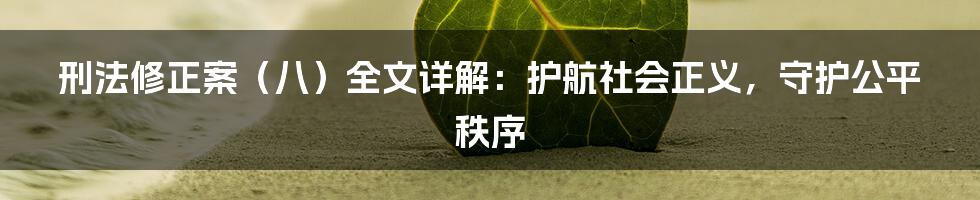 刑法修正案（八）全文详解：护航社会正义，守护公平秩序