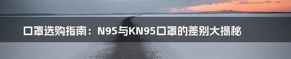 口罩选购指南：N95与KN95口罩的差别大揭秘