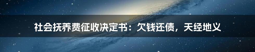 社会抚养费征收决定书：欠钱还债，天经地义