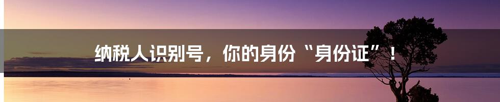 纳税人识别号，你的身份“身份证”！