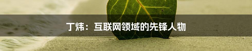 丁炜：互联网领域的先锋人物