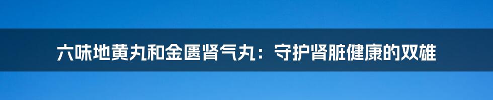 六味地黄丸和金匮肾气丸：守护肾脏健康的双雄