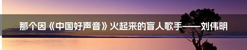 那个因《中国好声音》火起来的盲人歌手——刘伟明