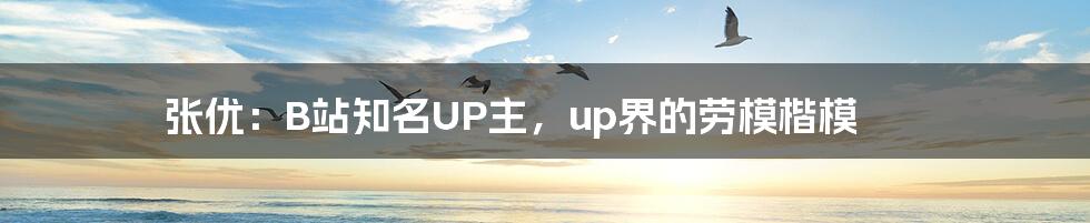 张优：B站知名UP主，up界的劳模楷模