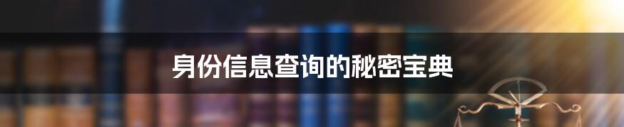 身份信息查询的秘密宝典