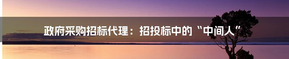 政府采购招标代理：招投标中的“中间人”