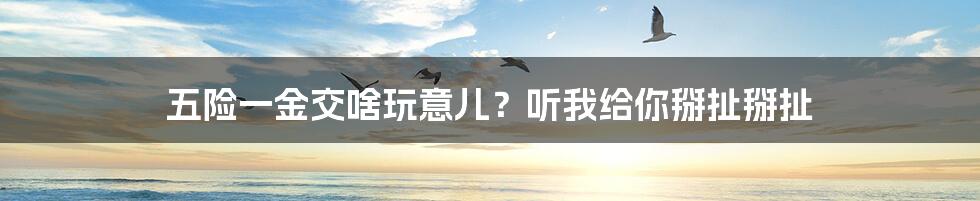 五险一金交啥玩意儿？听我给你掰扯掰扯