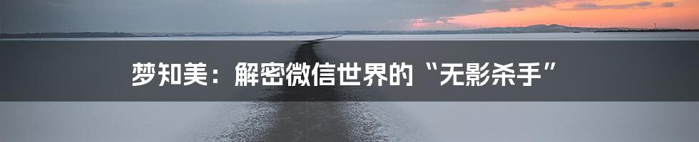 梦知美：解密微信世界的“无影杀手”