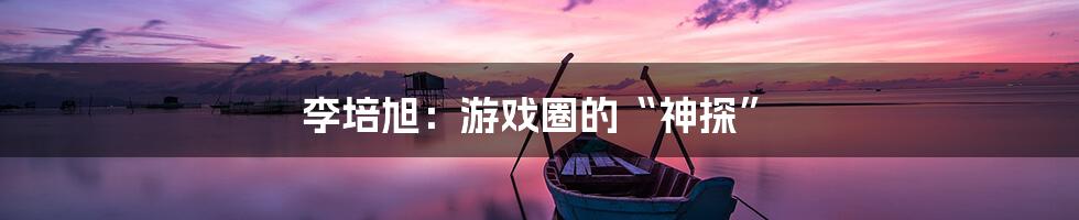 李培旭：游戏圈的“神探”