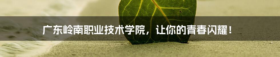 广东岭南职业技术学院，让你的青春闪耀！