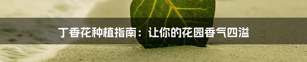 丁香花种植指南：让你的花园香气四溢