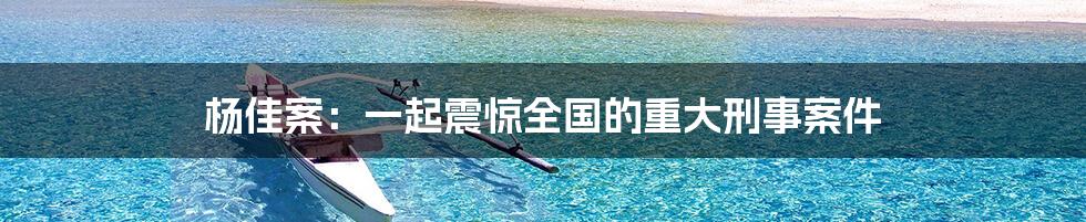 杨佳案：一起震惊全国的重大刑事案件