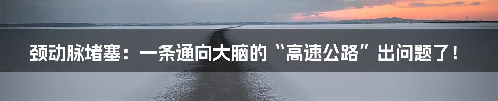 颈动脉堵塞：一条通向大脑的“高速公路”出问题了！