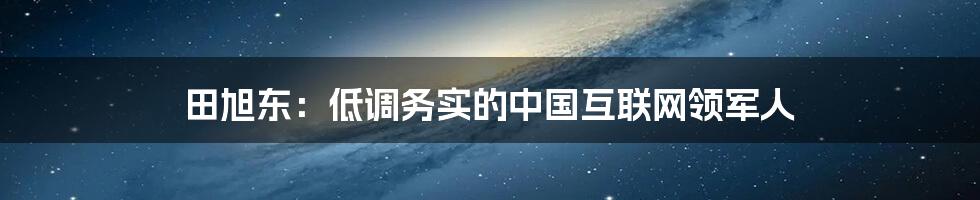 田旭东：低调务实的中国互联网领军人