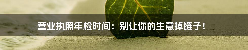 营业执照年检时间：别让你的生意掉链子！