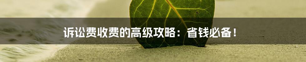 诉讼费收费的高级攻略：省钱必备！