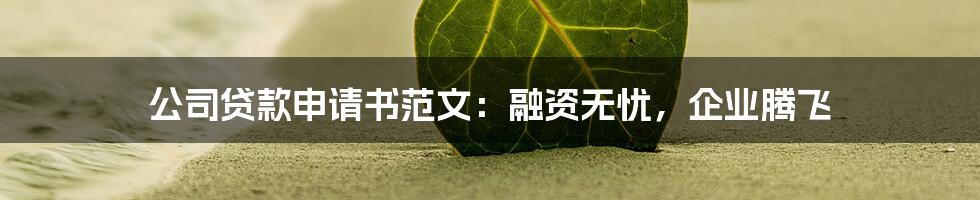 公司贷款申请书范文：融资无忧，企业腾飞