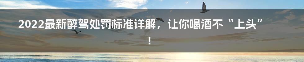 2022最新醉驾处罚标准详解，让你喝酒不“上头”！