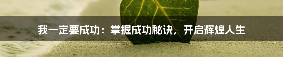 我一定要成功：掌握成功秘诀，开启辉煌人生