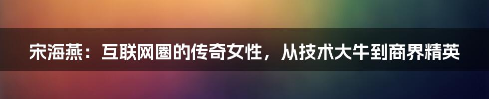 宋海燕：互联网圈的传奇女性，从技术大牛到商界精英