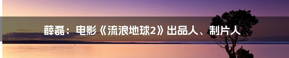 薛磊：电影《流浪地球2》出品人、制片人