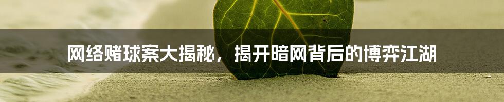 网络赌球案大揭秘，揭开暗网背后的博弈江湖