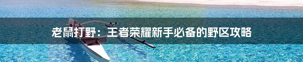 老鼠打野：王者荣耀新手必备的野区攻略