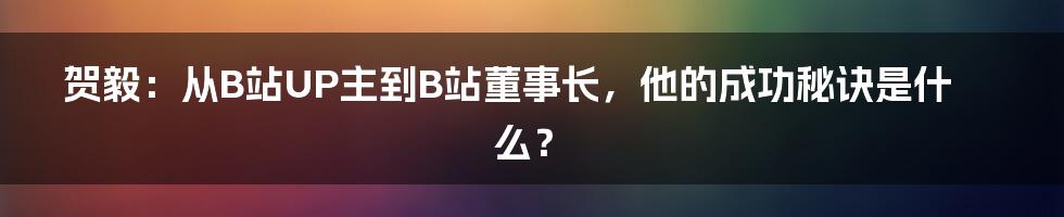 贺毅：从B站UP主到B站董事长，他的成功秘诀是什么？